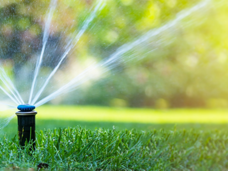 Irrigation system design and installation