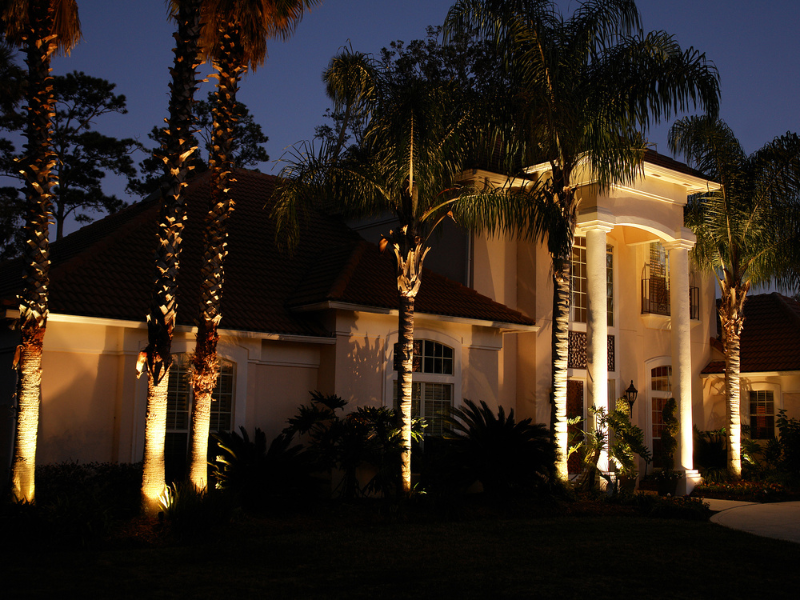 Landscape Lighting Installation
